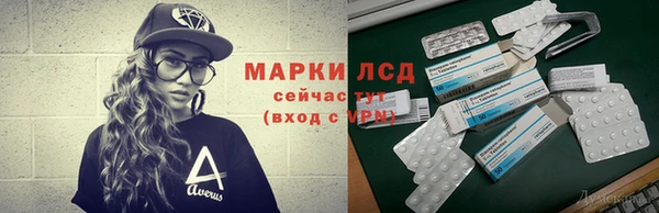 прущие грибы Нягань
