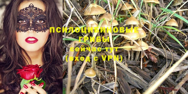 2c-b Лихославль