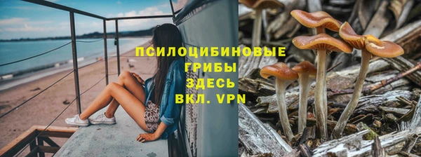 spice Лиски