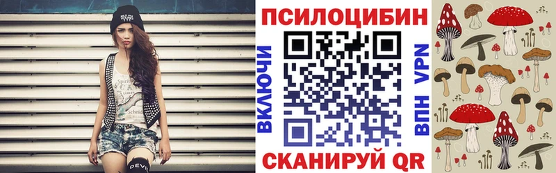 Галлюциногенные грибы GOLDEN TEACHER  закладки  Чегем 